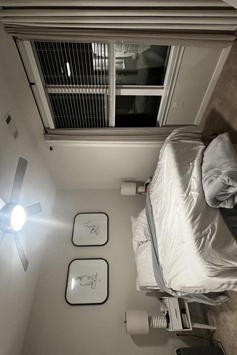 Modern Apartment Living in Cary - 3