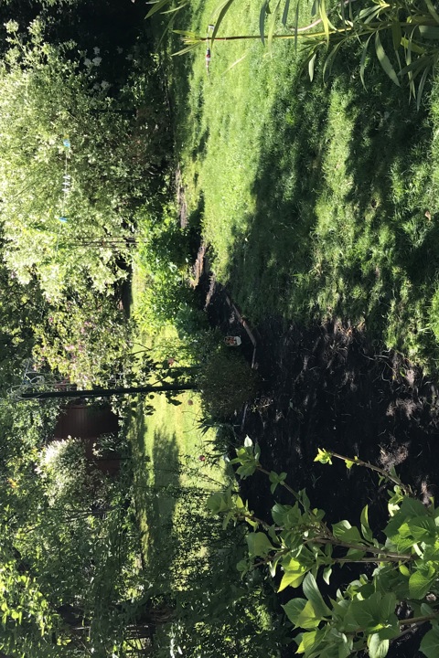 Family Home in Zehlendorf Berlin - 9