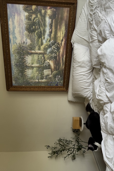 Beautiful Downtown Raleigh Apartment - 4