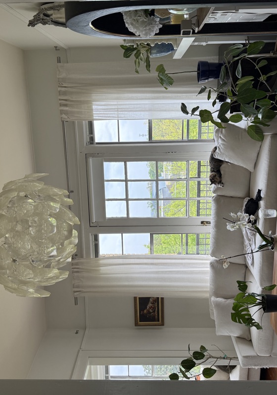 home swap in Raleigh, North Carolina