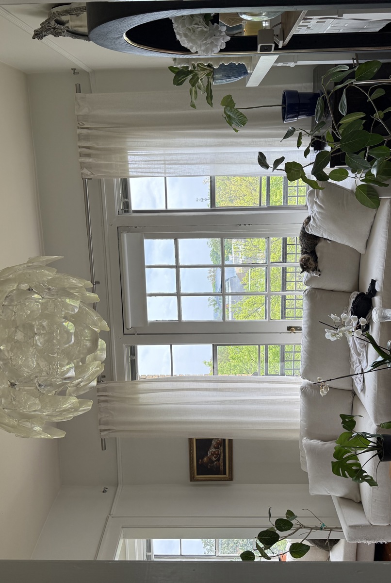 Beautiful Downtown Raleigh Apartment