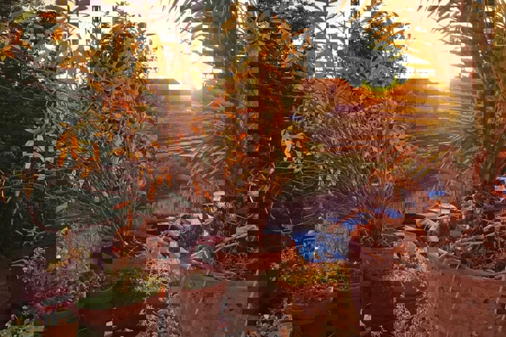 Charming flat in Berlin's historic Prenzlauer Berg - 1