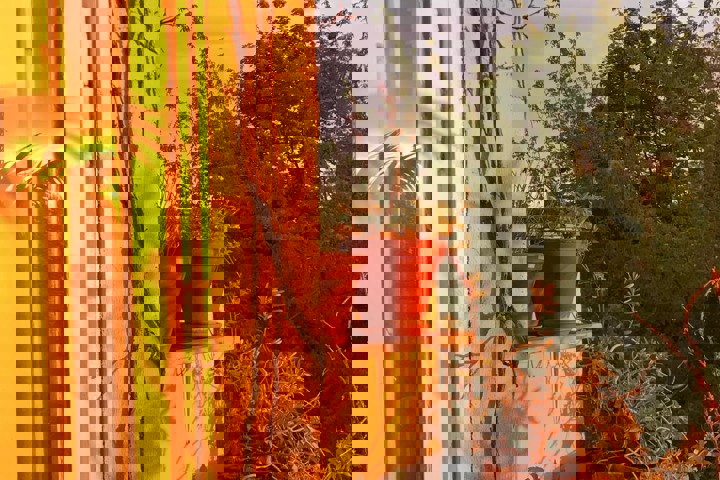 Charming flat in Berlin's historic Prenzlauer Berg - 3