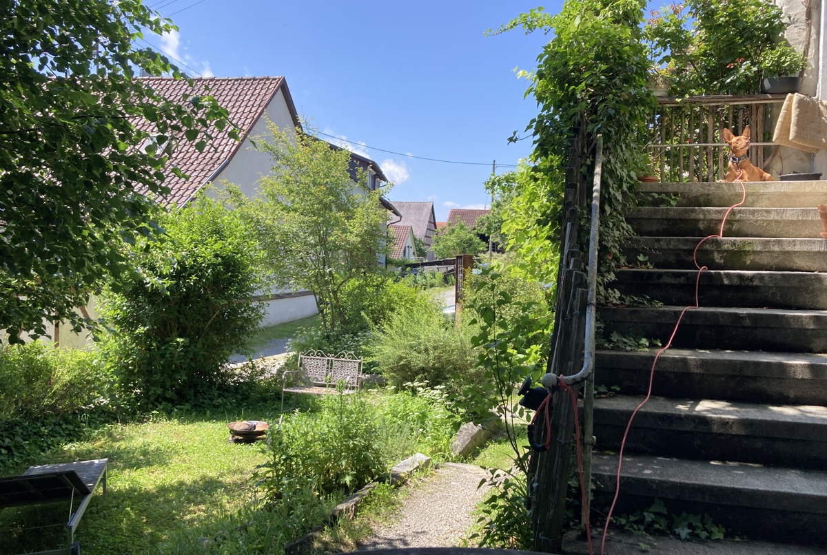 The Barefoot Haven III