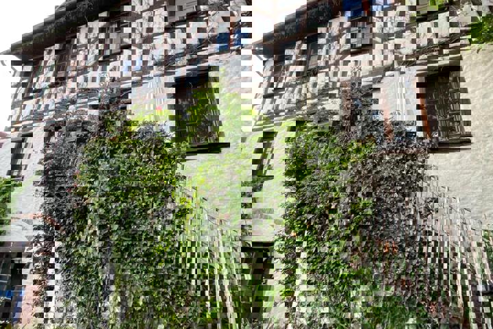 The Barefoot Haven III - 15