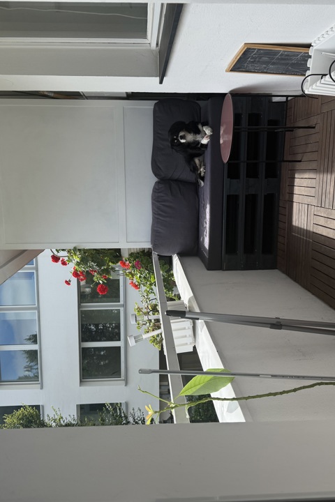 Cute city apartment - 2