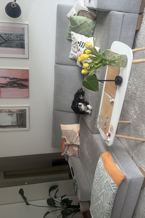 Cute city apartment - 1