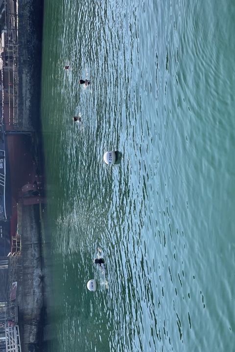 On the Cornish coast path with an awesome view. - 19