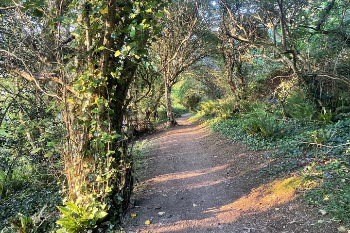 On the Cornish coast path with an awesome view. - 28