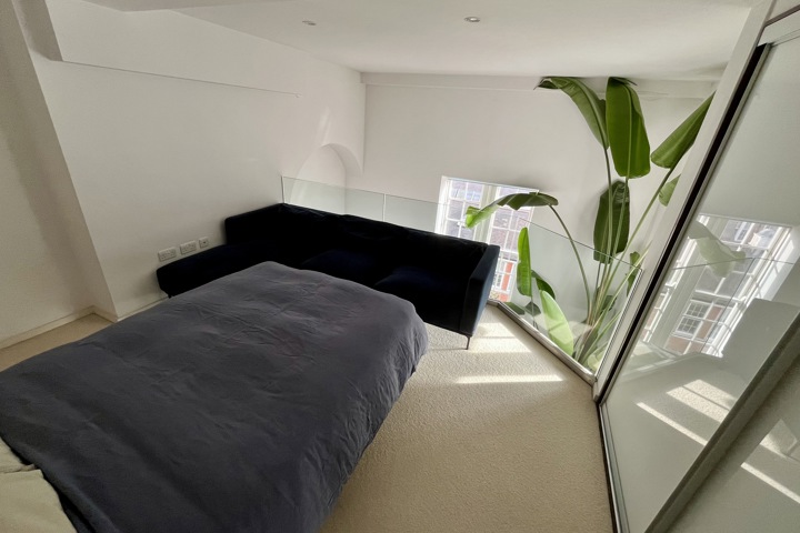 Sunny tranquil London penthouse - 7