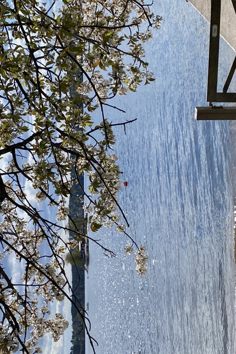 Terraced house in Swedish archepelago by the sea - 21