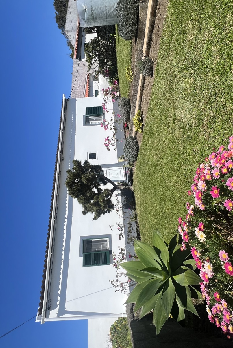Comfy Azorean home