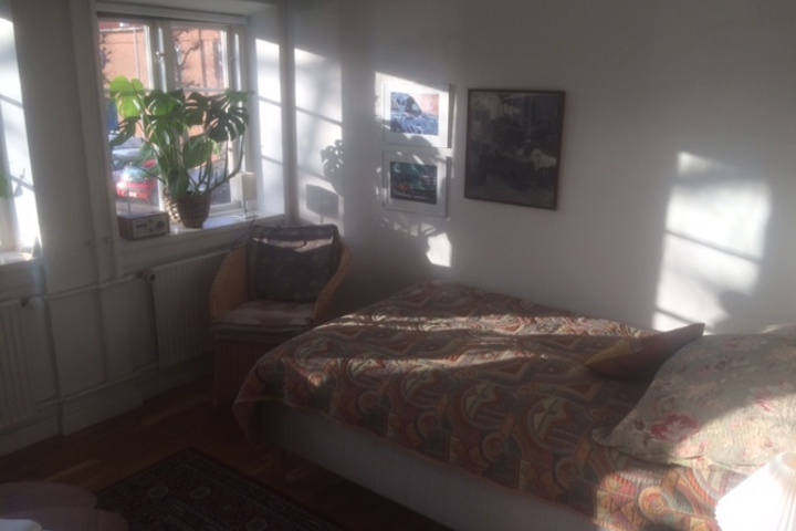 The little red house - 7