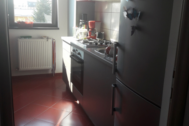 Child friendly apartment in a green neigborhood - 2