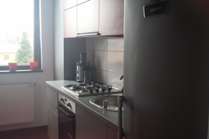 Child friendly apartment in a green neigborhood - 3