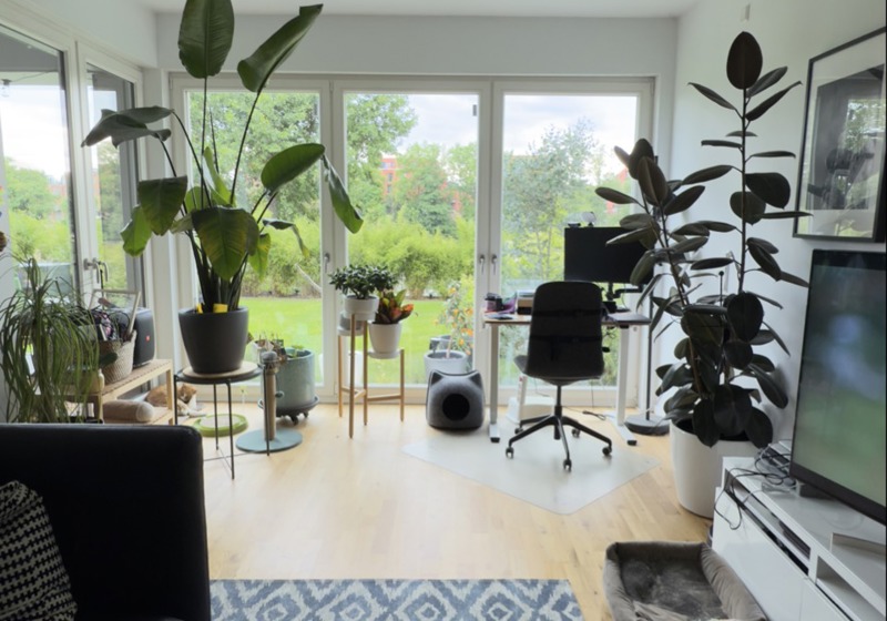 home swap in Berlin, Germany