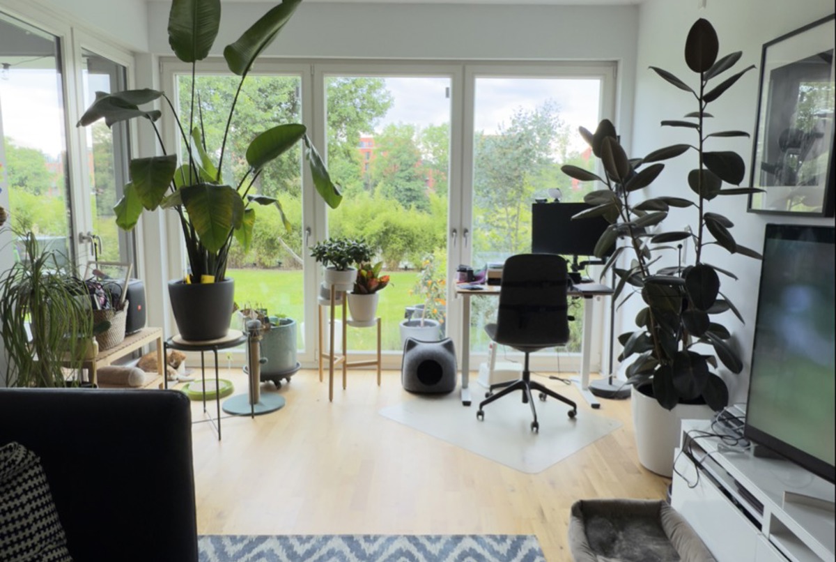 Furnished Riverside Apartment in Köpenick – Availa