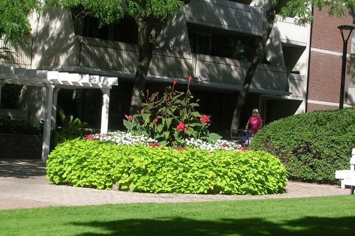 Historic center, Toronto - 6