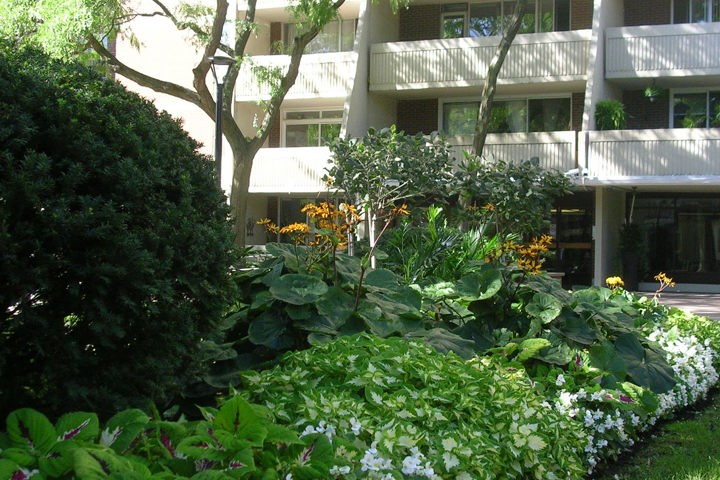 Historic center, Toronto - 8