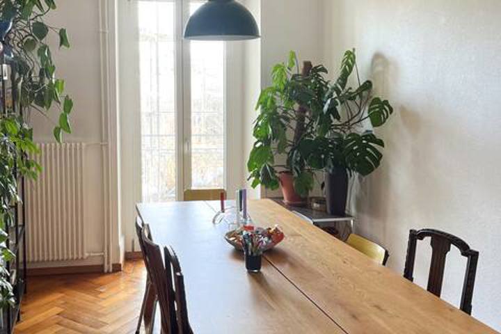 Spacious & bright apartment with garden - 3