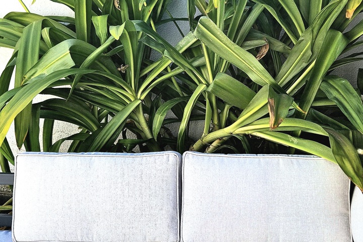 Casa Vento & Mar - 4