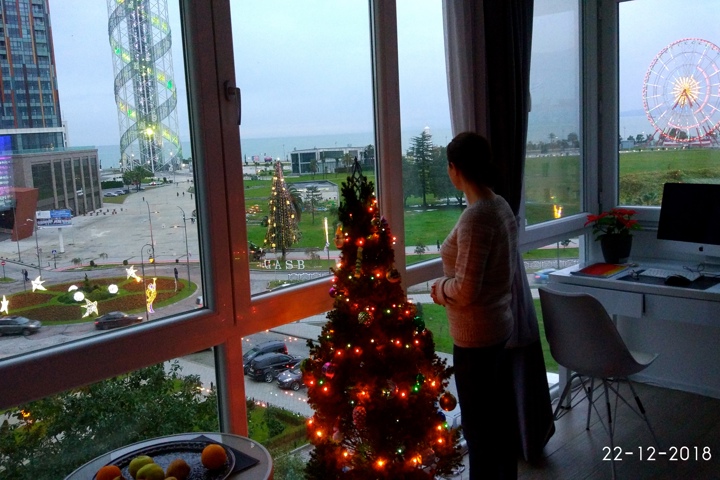 Fully furnished Seafront city apartment. - 12