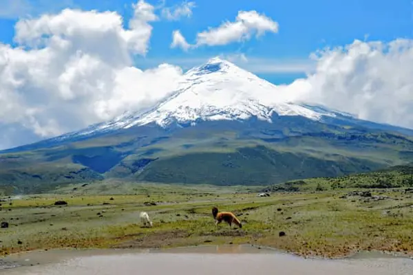Home Swap Ecuador - Choosing a Base Matters More Here