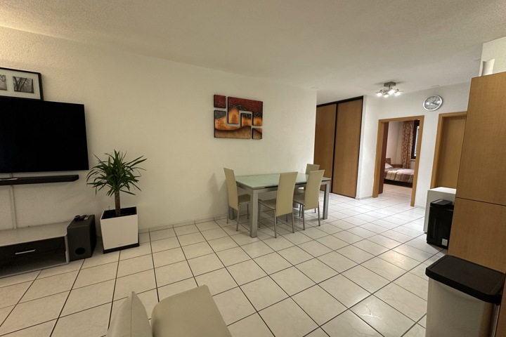 Apartment in Zurich - 1