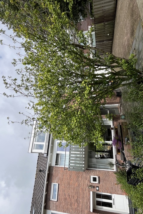 Family home just outside of Amsterdam - 17