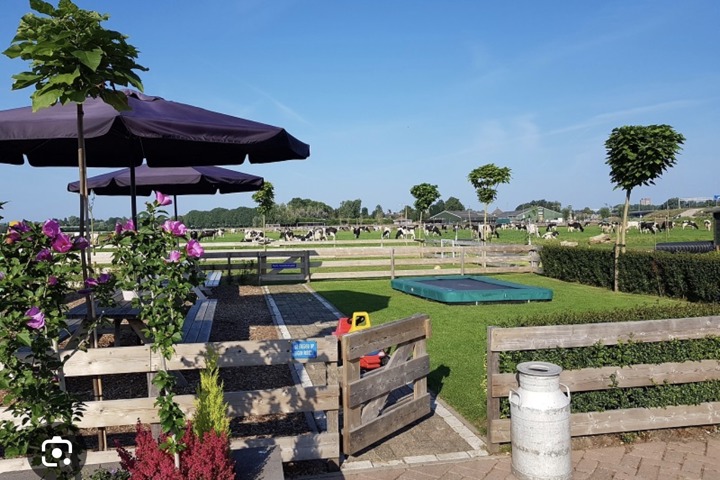 Family home just outside of Amsterdam - 22