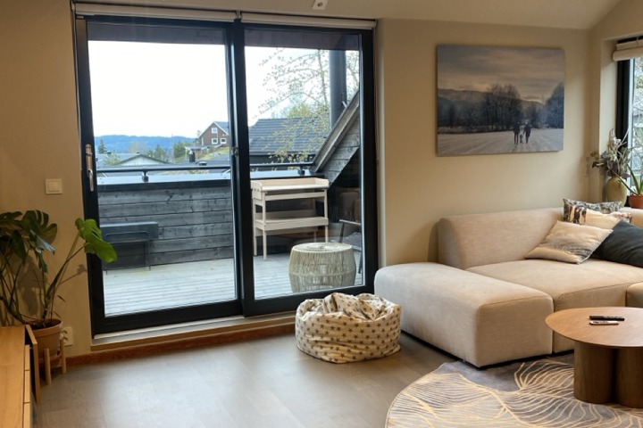 Family house in the suburb of Oslo - 1