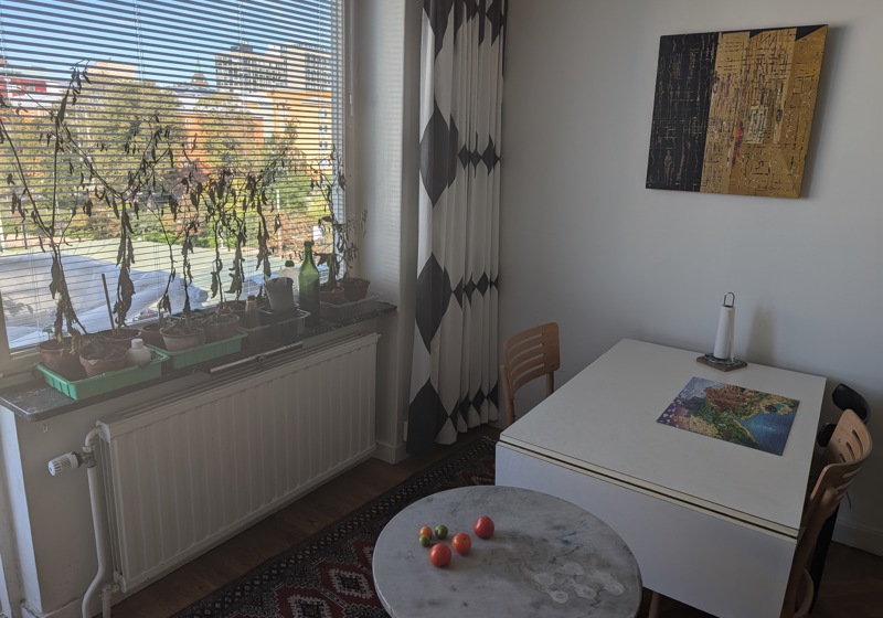 home swap in Stockholm, Sweden