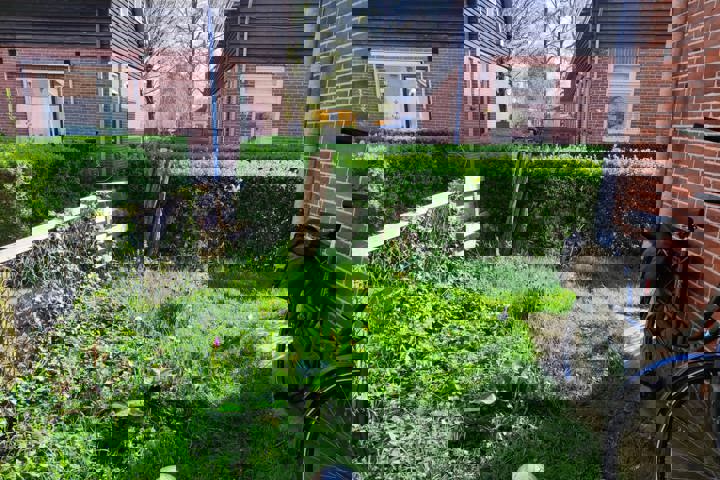 Cute little house, near the city center - 2