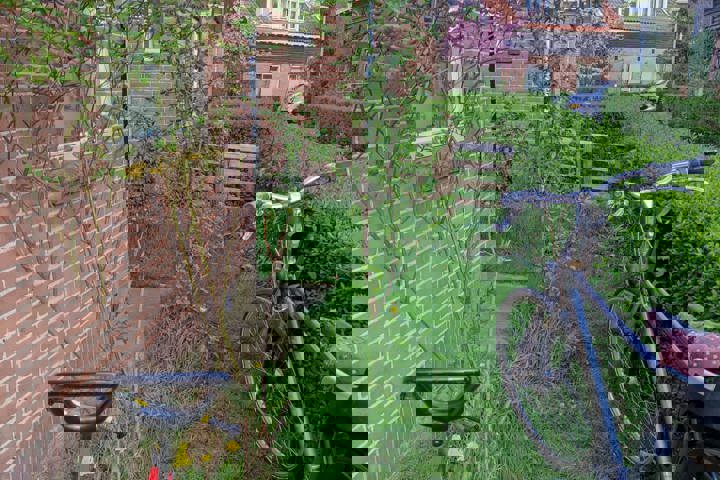 Cute little house, near the city center - 3