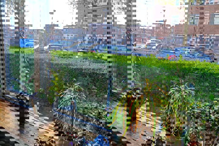 Cute little house, near the city center - 4