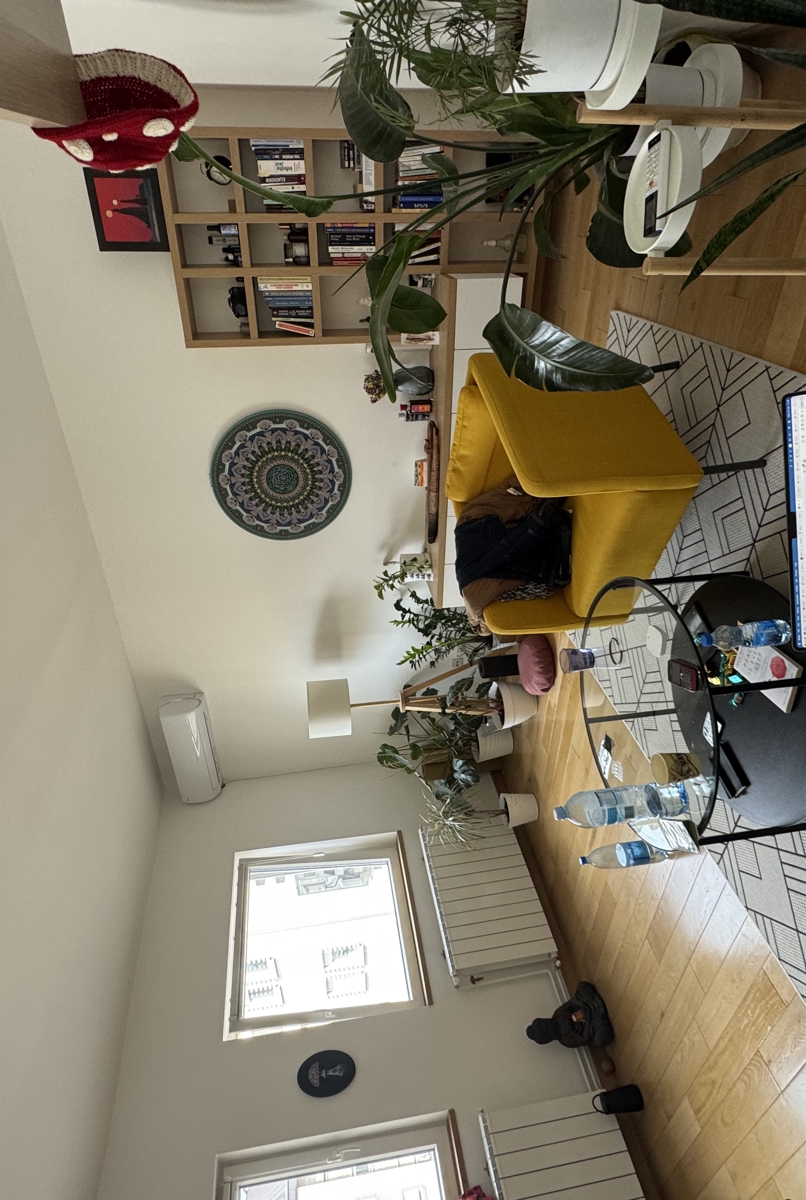 Apartment in New Belgrade