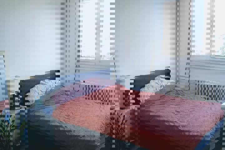 Grand 3 pièces lumineux à Genève – Vue Salève - 6