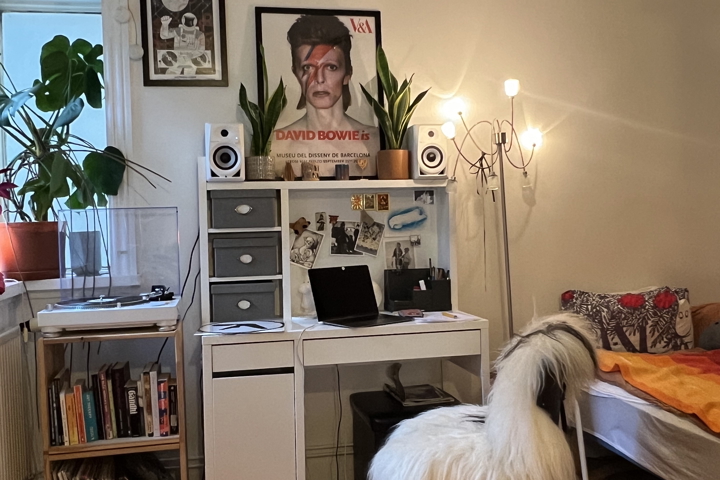 Cosy studio in Reykjavik - 3