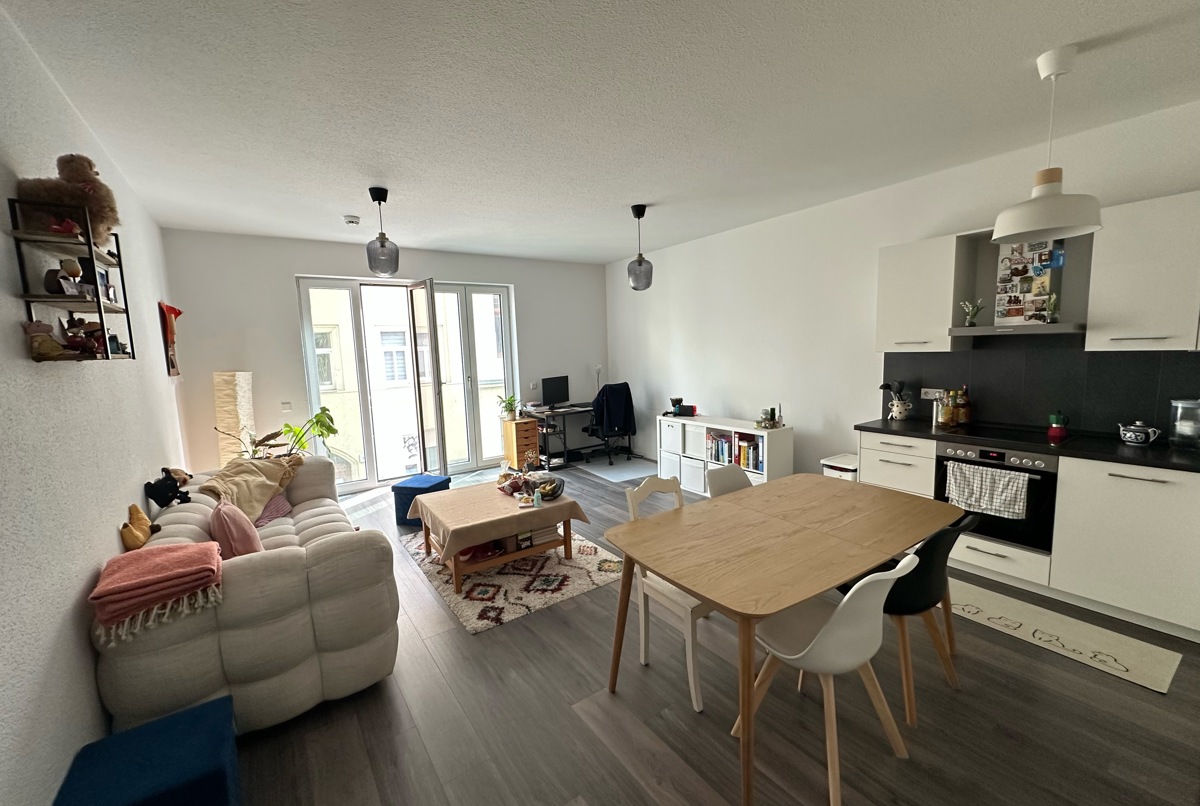 A quiet and clean new apartment in the city center