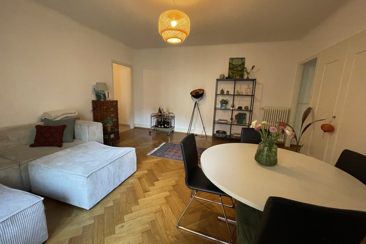 Beautiful appartement in the heart of Lausanne - 4