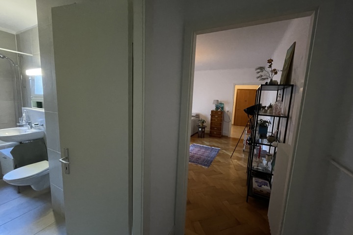 Beautiful appartement in the heart of Lausanne - 5