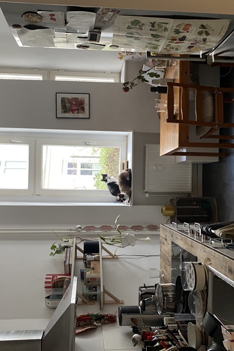 Charming 2 room flat in central Kreuzkölln - 1