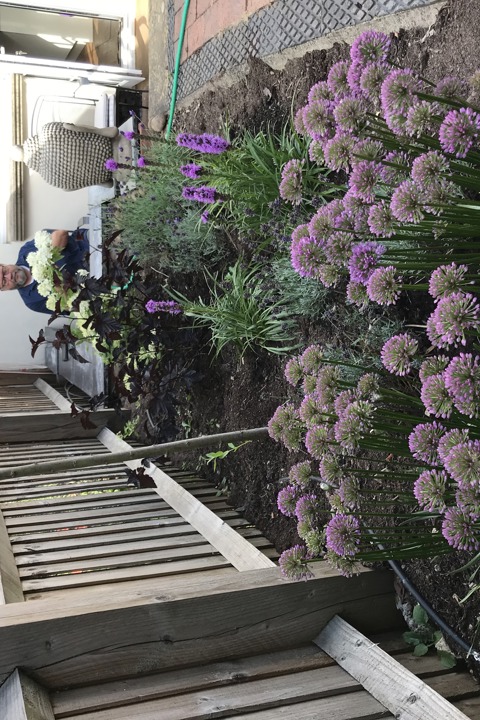 Victorian terraced - 4