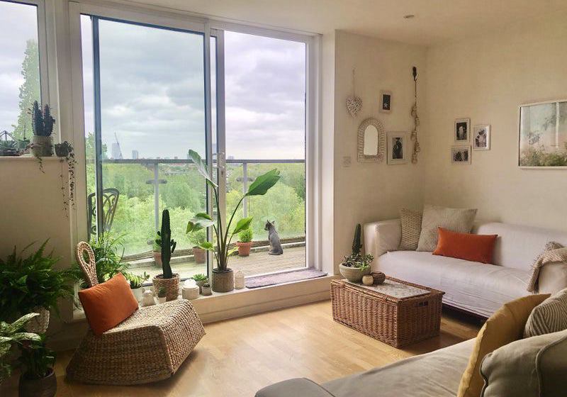 home swap in London, England