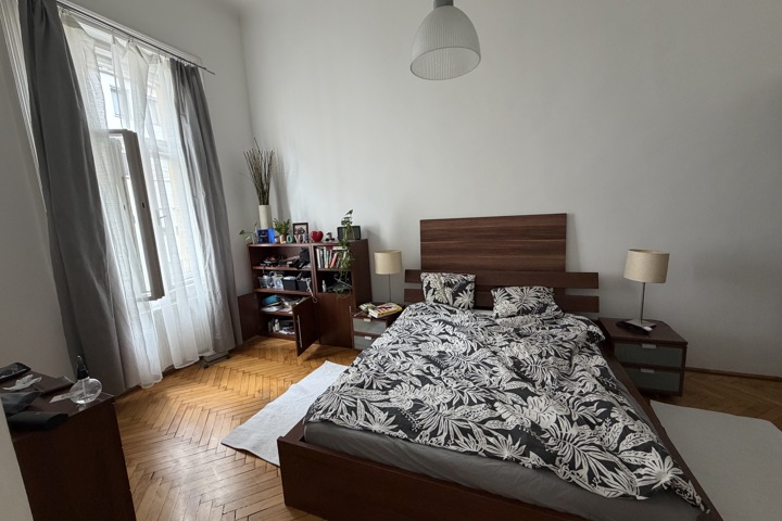 Huge cozy, peaceful flat in the middle of Budapest - 3