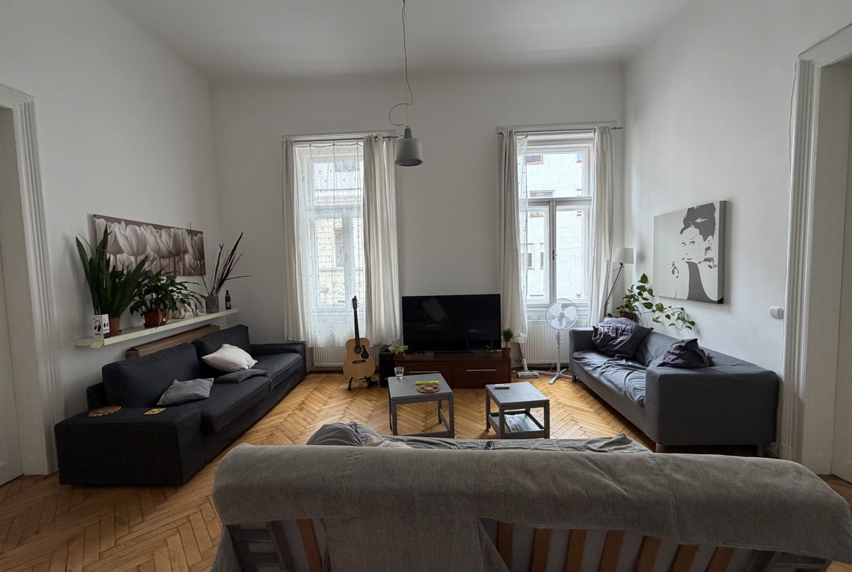 Huge cozy, peaceful flat in the middle of Budapest
