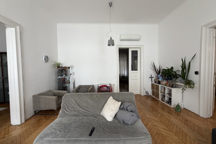 Huge cozy, peaceful flat in the middle of Budapest - 1