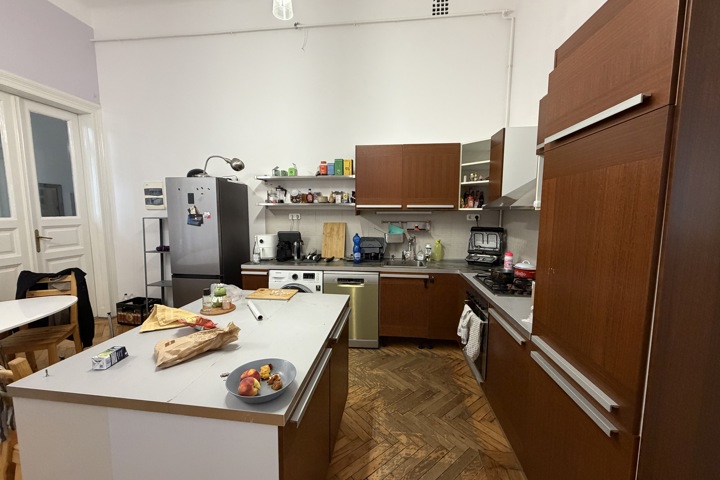 Huge cozy, peaceful flat in the middle of Budapest - 2