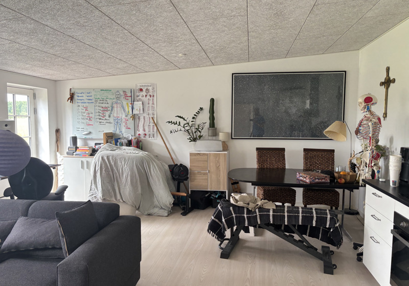 home swap in Hillerød, Denmark