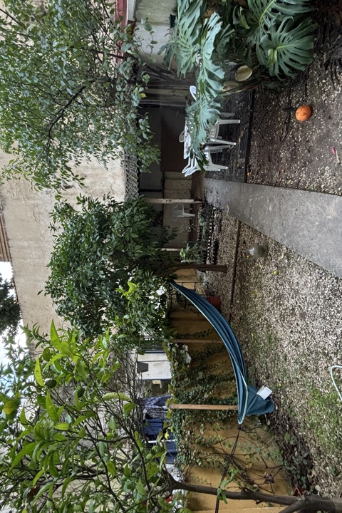 Cozy Lisbon Home with Big Garden - 10